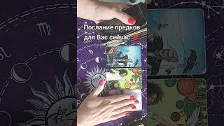 Послание предков для Вас#таро #подсказкасейчас#посланиепредков#наказпредков#родовоепослание#родные