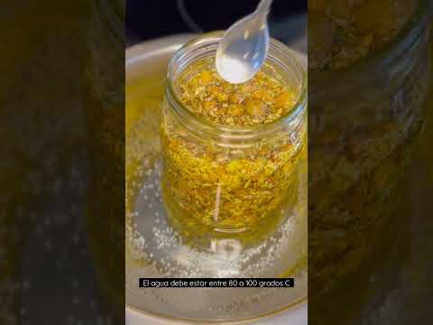 Wideo: Jak działa aceite de manzanilla?