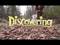 Discovering - Chaga