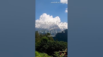 الحمد لله على نعمت التوحيد،تلاوة طيبة بصوت القارئ محمود المبيض  #محمد_رسول_الله #صلى_الله_عليه_وسلم
