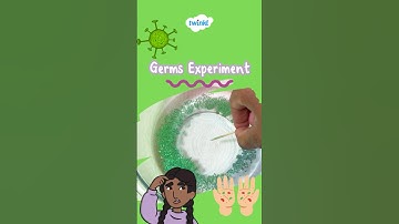 Soap and Germs Experiment for Kids | Easy Science Activity | Twinkl USA