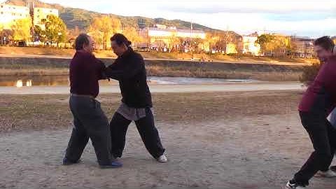 Fixed-Step, Free Pushing Hands Kyoto Dec 2017