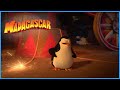 The funniest penguin | DreamWorks Madagascar