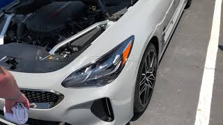 Atl Stinger Club Meeting Summer 2021