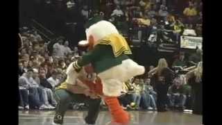 Oregon Ducks Mascot Highlight