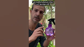 عاوز نباتاتك زاهية ونضرة للغاية وتمنع نهائيا آي حشرات نمل عنكبوت من الاقتراب شاهد Plants Garden 