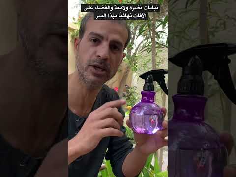 فيديو: تظهر حدائق ماوي النباتية منفعة الزهور في هاواي