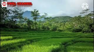 Download lagu LAGU ADAT BUGIS |MAPPADENDANG#laguterbaru #lagutiktok #laguviral #lagubugis #lagubugisabadi