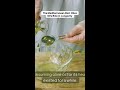 Why ancient wisdom points to olive oil for a longer life.
