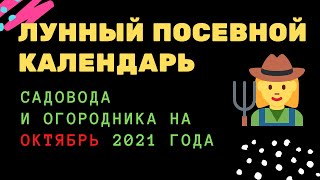 Лунный посевной календарь садовода и огородника на октябрь 2021 года