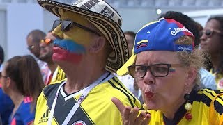 We love Russia: каким видят Сочи иностранные болельщики We love Russia: каким видят Сочи иностранные болельщики