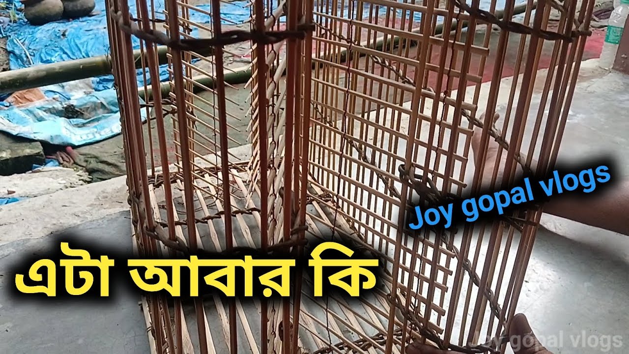 এটা আবার কি #vlogs #viral #viralvlogs #minivlogs #fish #what_is_this #এটাআবার কি