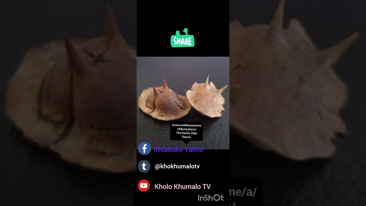 Incazelo ngeNkunzana/e. By Kholo Khumalo TV