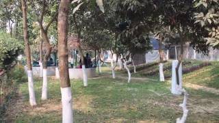 Affanz Dadabari 2017 Feb Up Picnic Spot Near Dhaka