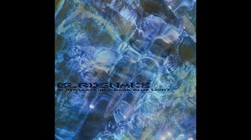 Birdsnake "Scintillate in a Dark Blue Light"