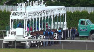 Vicente's Shadow Wins at Emerald Downs