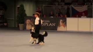 Dogdancing Freestyle World Championship 2012 Galina Chogovadze with Moja Nadezhda Rolly Royce by ElliotDMDS 4,287 views 11 years ago 4 minutes, 4 seconds