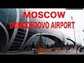 【Airport Tour】 MOSCOW Domodedovo Airport  Check in area