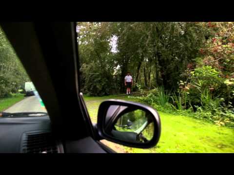 Vidéo Vol au dessus d'un nid de canards - Diff Seasons