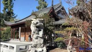 The Huntington Chinese Garden - Garden of Flowing Fragrance 11/26/2022