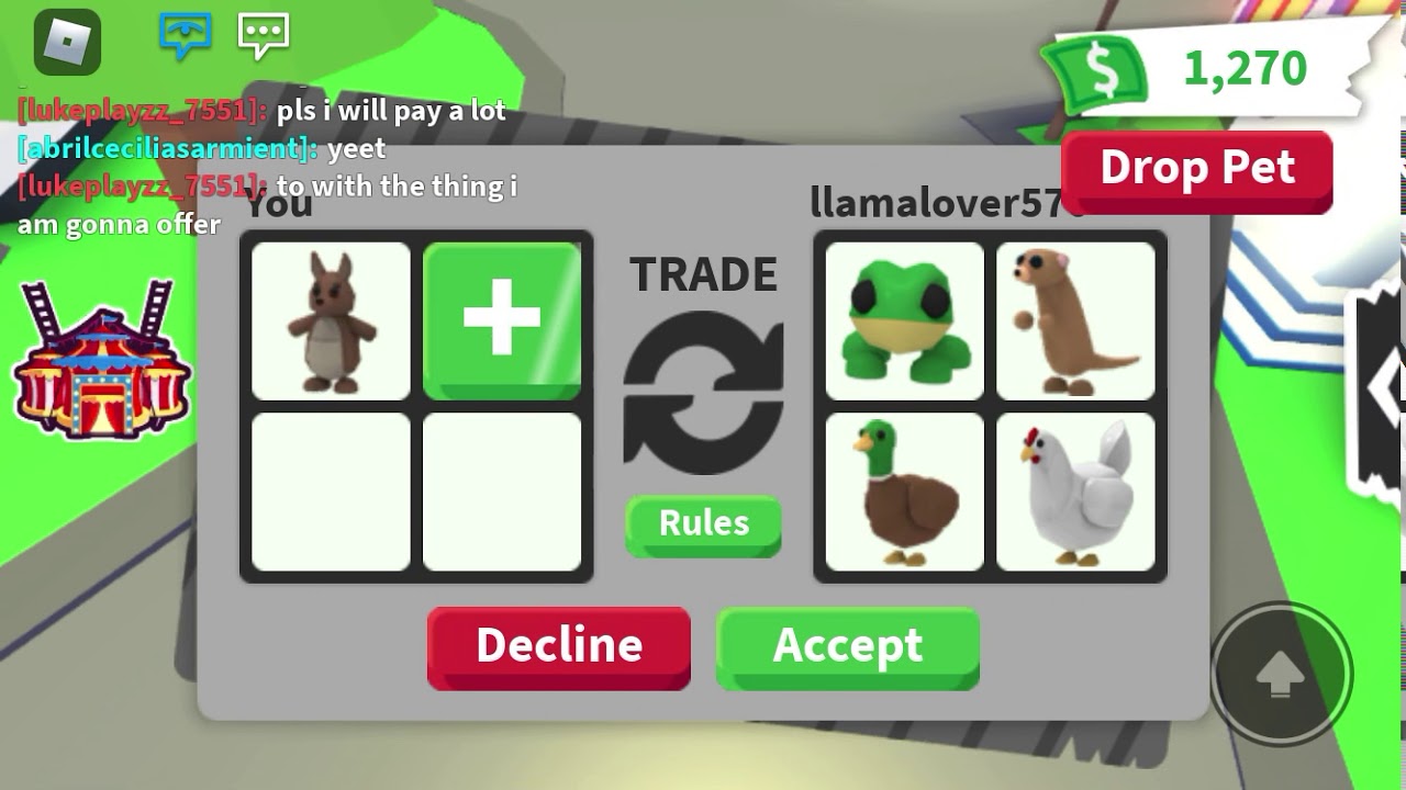 What will people trade for a Kangaroo? (Roblox Adopt me) - YouTube