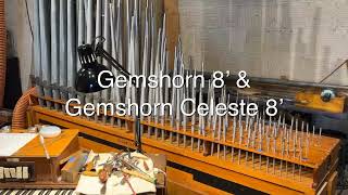 Midmer-Losh Choir division Gemshorn &amp; Gemshorn Celeste demonstration