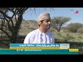 أفران صهر النحاس بمنطقة طوي العبيلة بولاية محضة شواهد على العمق التاريخي لسلطنة عمان