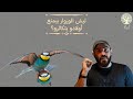 برية لماذا يمنع الوروار الأوروبي صغاره من التزاوج mp3