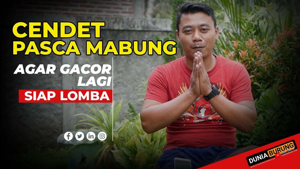 Perawatan Pasca Lomba agar Tidak Drop: Rahasia Pemulihan Optimal Perawatan Pasca Lomba agar Tidak Drop: Rahasia Pemulihan Optimal