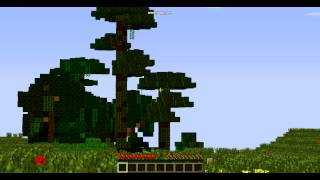 Fraps Quality Test with Minecraft