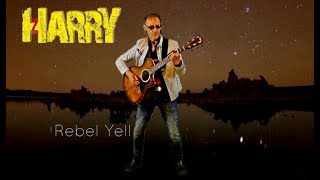 Rebel Yell - Harry Zepf ( Billy Idol)