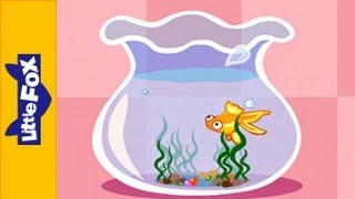 Little Goldfish | Song for Kids by Little Fox