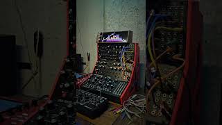 Afternoon Delight Moog Jam with Labyrinth and DFAM #dawless #music #generativemusic #electronicmusic