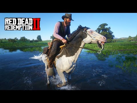 Domei um dos CAVALOS MAIS RAROS DO JOGO - O Domador de Cavalos - Red Dead  Redemption 2 