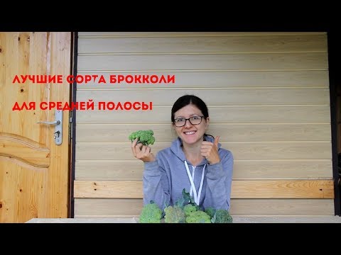 Мои любимые сорта и гибриды брокколи для Средней полосы