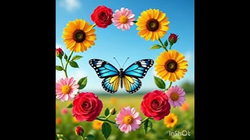 Thumbnail of flowers and butterflies images #song #arijit singh #trending #bollywood #trending