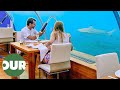 The worlds most unique dining experiences  worlds best restaurants  full series