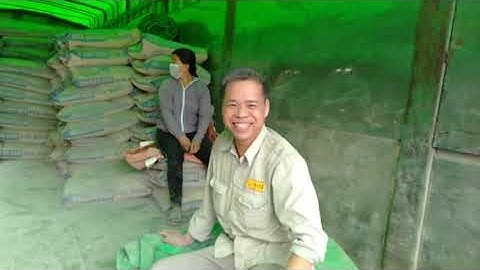 Vlog bốc vác kiếm tiền trà lĩnh Cao Bằng.