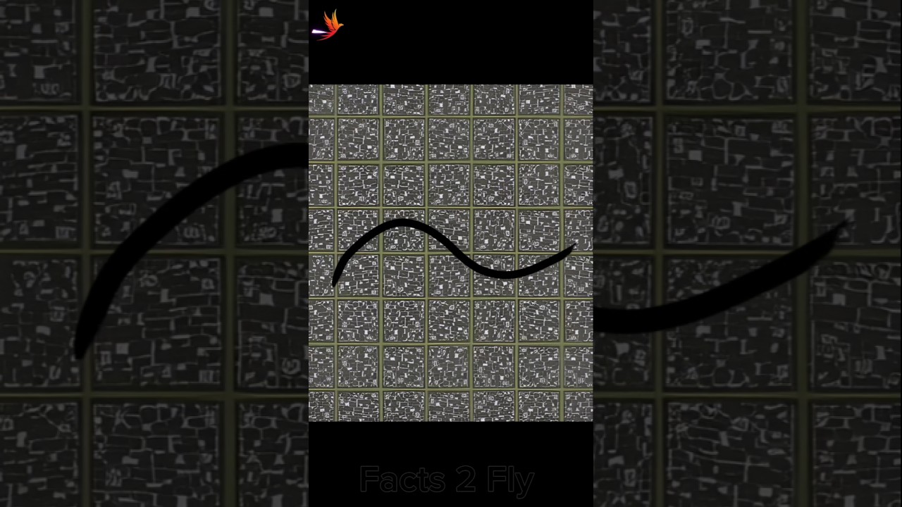 How Many Curves In This Image  〰️ 