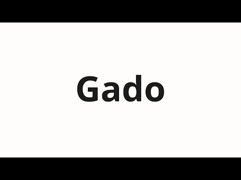 Gado Spanish