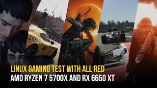 AMD Radeon RX 6650 XT Linux Gaming Performance | Benchmarking Native Games on My Library