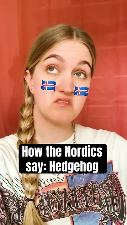 How the Nordic countries say Hedgehog 🇩🇰🇸🇪🇳🇴🇮🇸🇫🇮