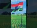 Happy independence day islamic queen channel ki taraf se app sabhi ko #15august #shortvideo