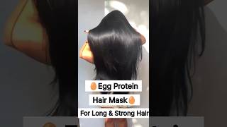 Egg hair mask for hair growth / Hair growth tips shorts haircare hairfall hairgrowth 1m viral