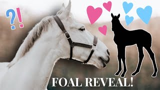 FOAL REVEAl, we did *NOT* see that coming!