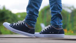 Dsi Tamik Latest Collection