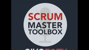 When Self-organization does not work, the missing conditions | Erik de Bos