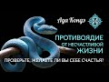 Желаете ли вы себе счастья? Или ПРОТИВОЯДИЕ от несчастной жизни. Как стать счастливее. Ада Кондэ