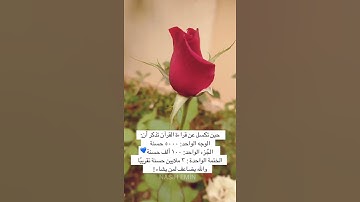 تلاوة هادئة مليئة بالطمأنينة // القارئ إسلام صبحي // حالات واتس اب دينية // ستوريات أنستا قصيرة