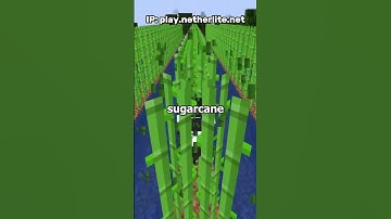 Here is how to get started on the HARDEST minecraft server!  #minecraft #minecraftserver #smp #fyp